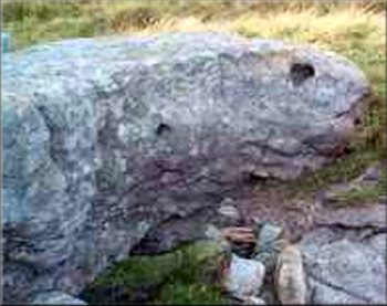 Lizard head rock near the summit of Great Whernside