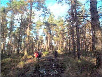 Our path through Cropton Forest