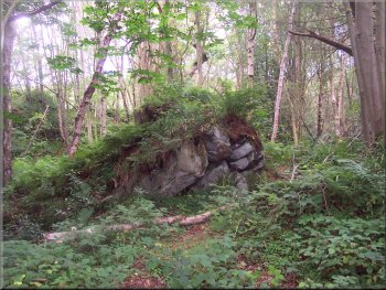 Rocky outcrop in East Arnecliff Wood