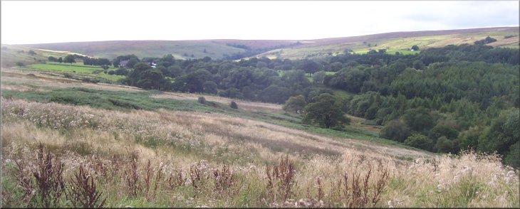 Looking up the valley of Butter Beck over Grange Head farm to Egton High Moor