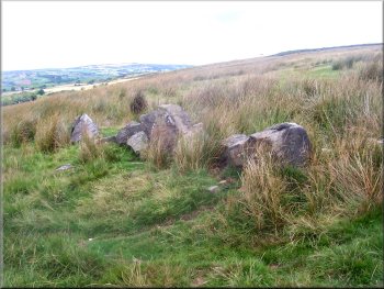 Ancient field boundary on the moor above Grange Head Farm