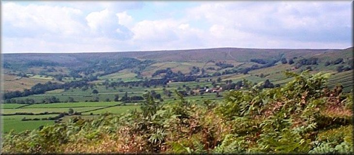 The head of Glaisdale from Glaisdale Rigg 