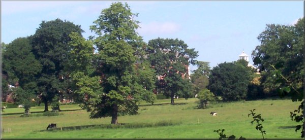A glimps of Benningborough Hall from the river bank
