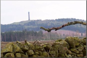 Waterloo Monument on the hill top overlooking the Teviot valley