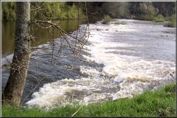 Weir on the river Teviot