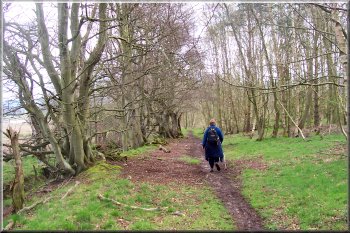 Woodland track away from Dere Street