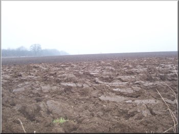 Endless ploughed field 