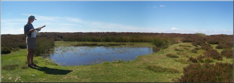 Moorland pond on the Shropshire Way 