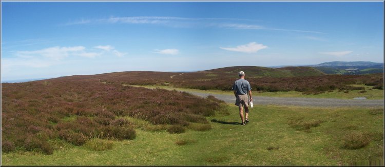 The Shropshire Way heading North on the Long Mynd 