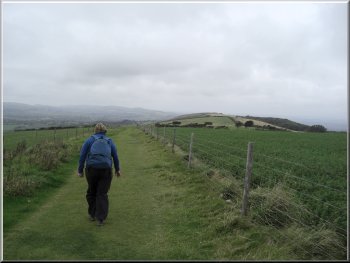 Grassy track along the ridge of Nine Barrow Down