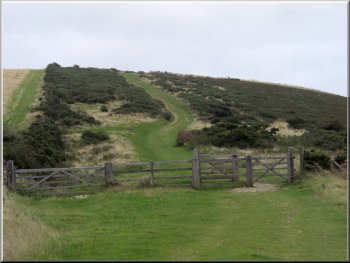Grassy track along the ridge of Nine Barrow Down