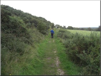 Heading north on the Purbeck Way toward  Norden  station
