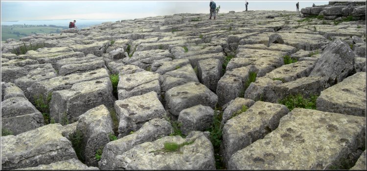 The Limestone pavement on the top of Malham Cove