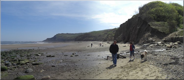 Looking back to Ravenscar from the beach at Stoupe Beck