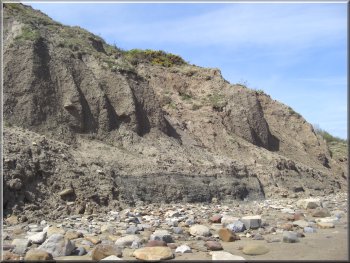 Erosion of the shale cliffs near Boggle Hole