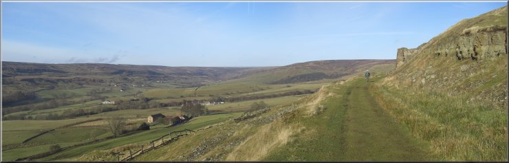 View up Rosedale from the railway path