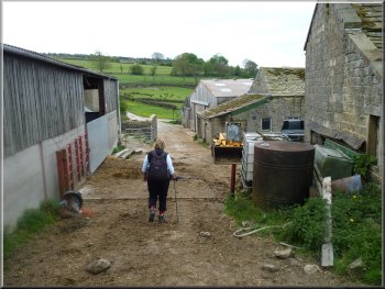 Path through the farm at Scow Hall