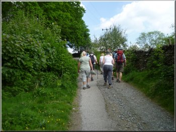 Climbing the lane from Knipe Fold