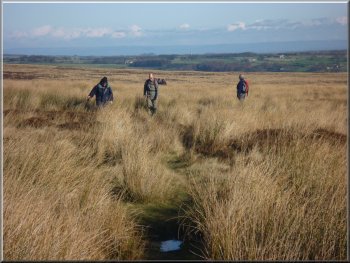 In places the boggy ground and coarse marsh grass make the path easy to loose