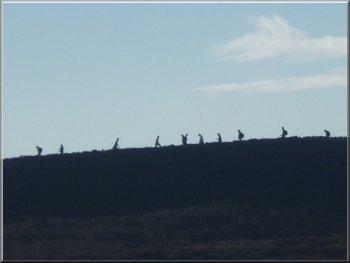 Walkers on Lipersley Ridge