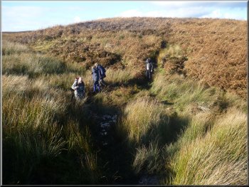 Path from Gawk Hill Gate to Lippersley ridge