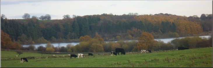 Fewston Reservoir seen from the footpath across the fields