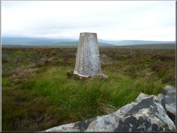 Trig point on Ouster Bank