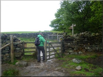 Meeting the Cleveland Way on Scarth Wood Moor