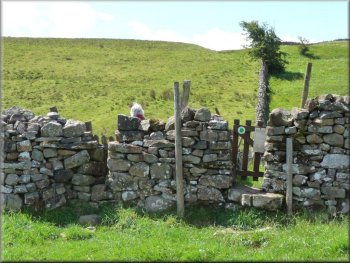 Taking the left stile to Gayle Ing