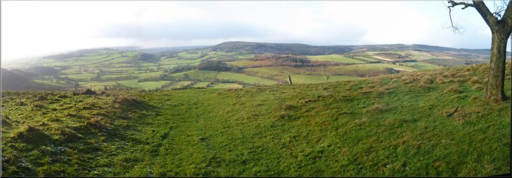 Looking west from High Barn to Boltby Forest on the ridge beyond Boltby village 