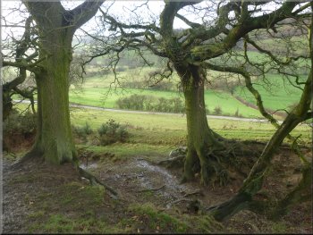 Looking down towards Lunshaw Beck