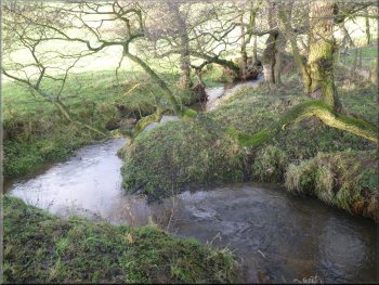 Lunshaw Beck by the footbridge