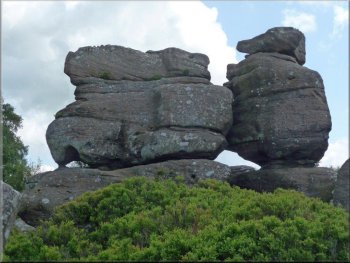 At Brimham Rocks - Baboon Rock