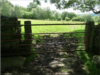 Unwelcoming gate at SE 204643 
