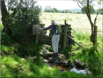 Squeeze stile from pasture to hayfield