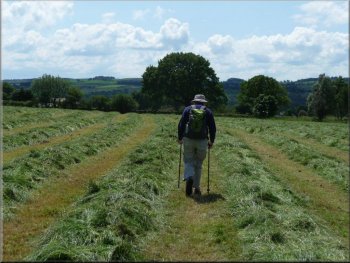 Over newly mown hay