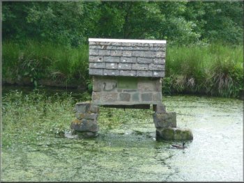 Duck pond at SE 204626