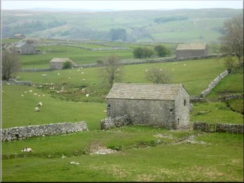 Field Barns by the lane into Malham