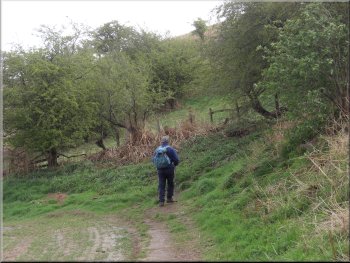 The path to Whorl Hill
