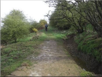 The path to Whorl Hill