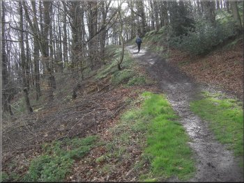 The path climbing around Whorl Hill