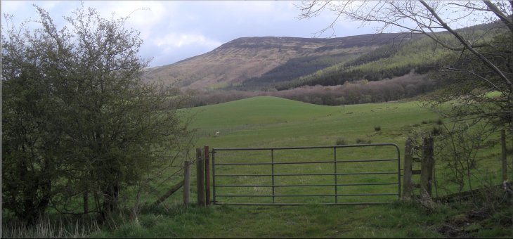 Looking east from the seat to Carlton Bank