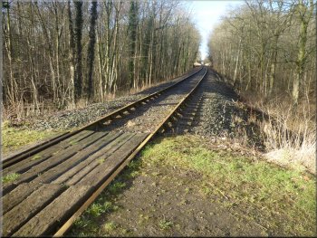 Crossing the Wensleydale Railway