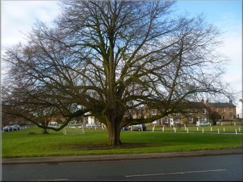 The village green in Crakehall