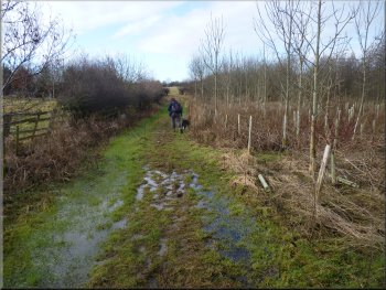 A very soggy part of the path