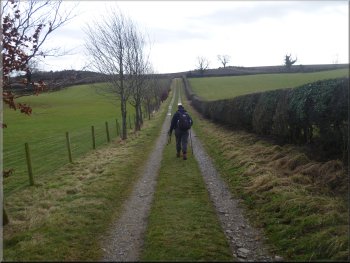 Walking along the Lindale Lodge access road
