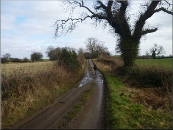 High Lane (from High Pond House to Cowling)