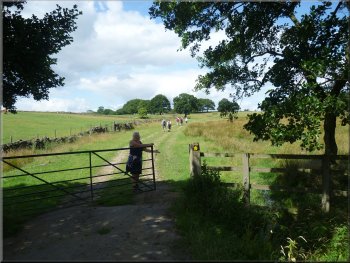 Path across the fields leading to Lineham Farm