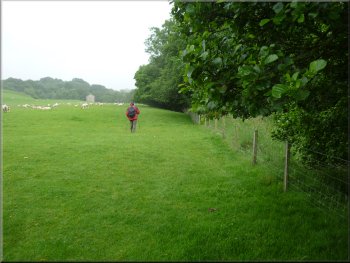 Path across the field - the river is to the right
