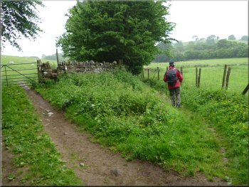Bridleway to the east of the River Eden
